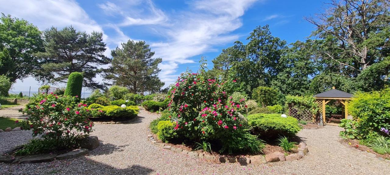 Bed and Breakfast Dom Na Bukowym Wzgorzu Wicko  Esterno foto